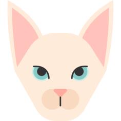 毛猫