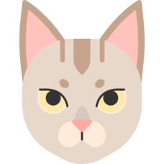 新加坡猫