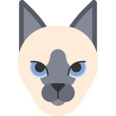 暹罗猫