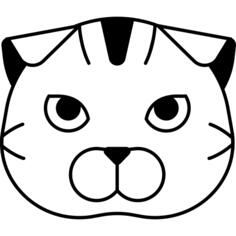 苏格兰折耳猫猫