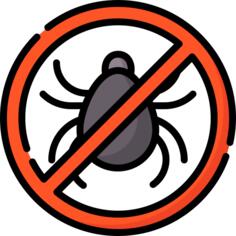 Lice free