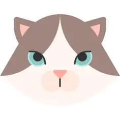 Ragdoll cat