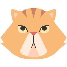 波斯猫