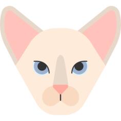 Oriental cat