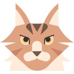 缅因浣熊猫
