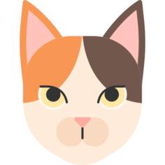 日本短尾猫