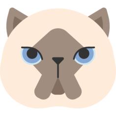 喜马拉雅猫