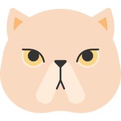 短毛猫