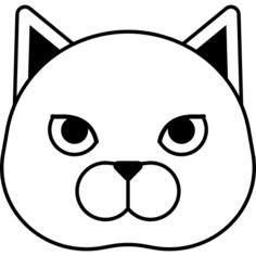 British shorthair cat