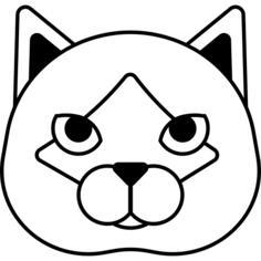 Birman cat