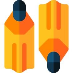 Flippers
