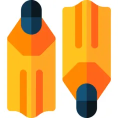Flippers