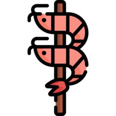 虾