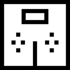 Weight