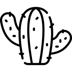 Cactus