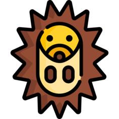 刺猬