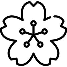 樱