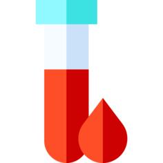 血液管