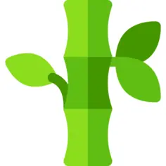 Bamboo