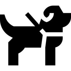 导盲犬