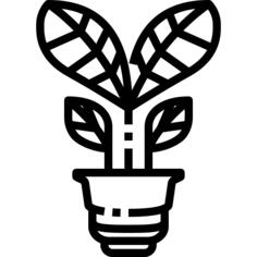 灯泡