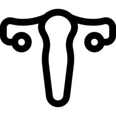 Uterus