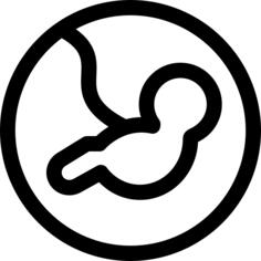 Fetus