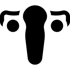 Uterus