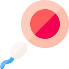 Ovum