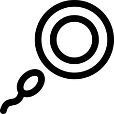 Ovum