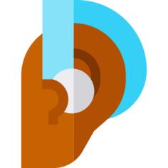Hearing aid