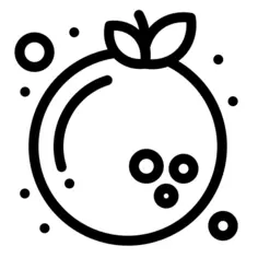 橙子