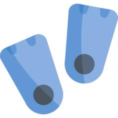 Flippers