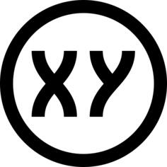 Xy