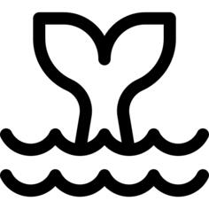 鲸