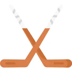Hockey sticks