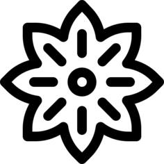 Anise