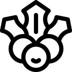 槲寄生