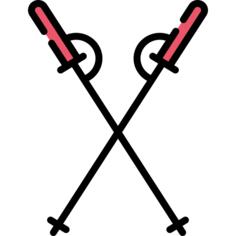Ski poles