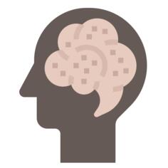 Brain