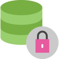 Database
