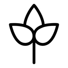 树叶