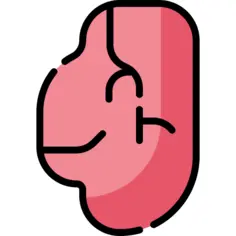 肉
