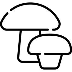 蘑菇
