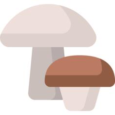 蘑菇