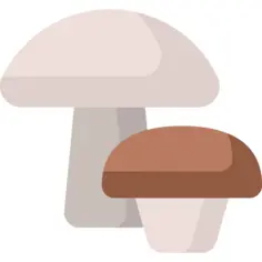 蘑菇
