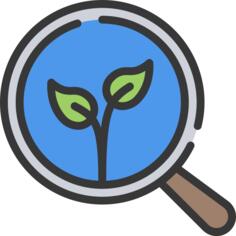 Organic search