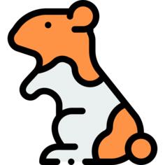 Hamster