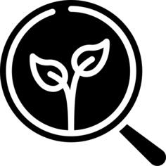 Organic search