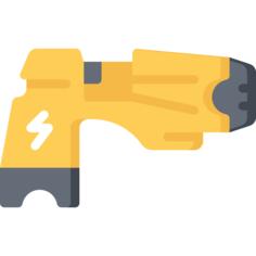 Gun